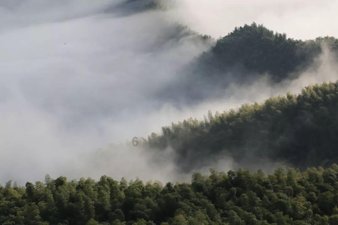 精灵的故事